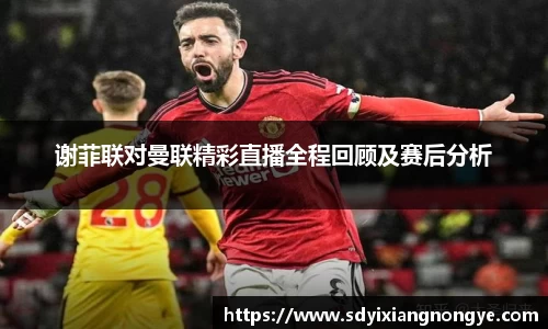 优游国际平台
