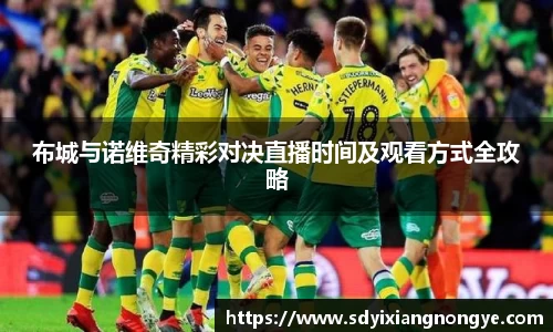 优游国际