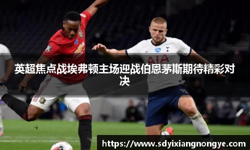 英超焦点战埃弗顿主场迎战伯恩茅斯期待精彩对决