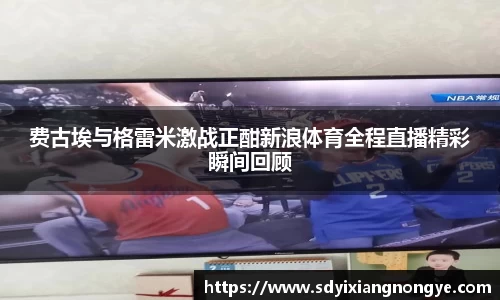 费古埃与格雷米激战正酣新浪体育全程直播精彩瞬间回顾