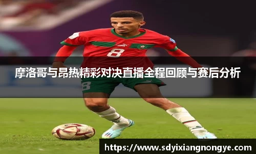 优游国际