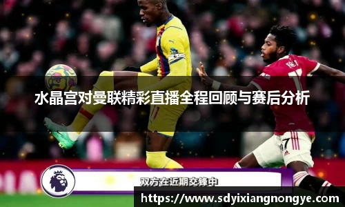 水晶宫对曼联精彩直播全程回顾与赛后分析