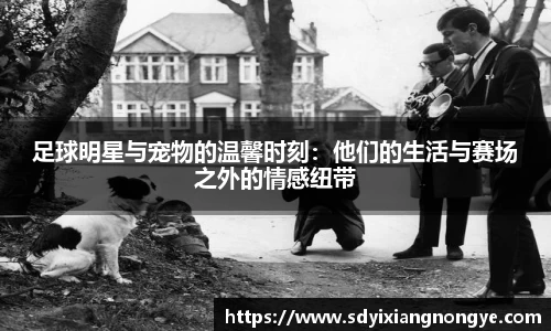 优游国际