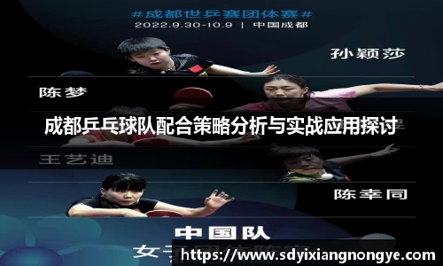 成都乒乓球队配合策略分析与实战应用探讨