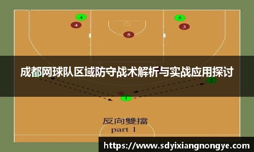 成都网球队区域防守战术解析与实战应用探讨